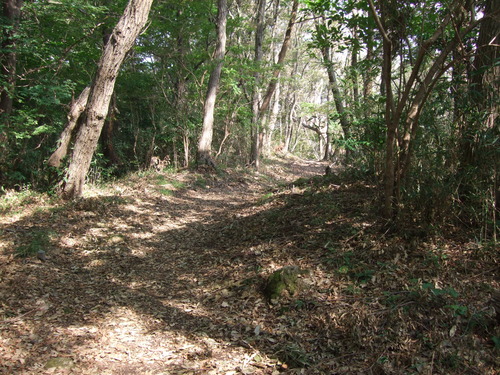 2011_1011¾ÅÆîÊ¿0037