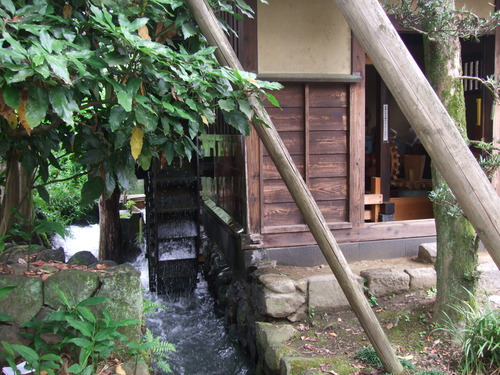 2011_0609³«À®Ä®ÃµË¬0005