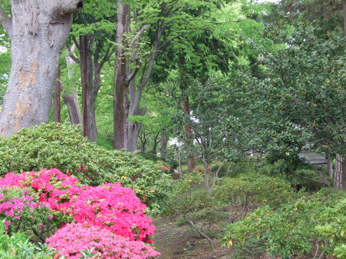 2007_0509¿®½£0106