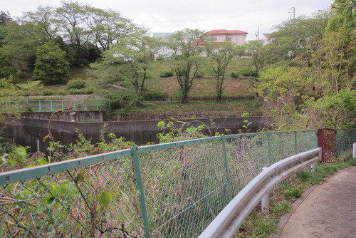 IMG_2175 - ���ԡ�