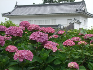 2012_0611湯本0105
