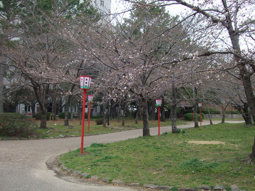 2013_0321豊橋0024