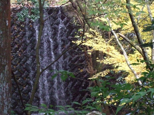 2007_1202¹ä»Ë¾»»Òº§Ìó0032