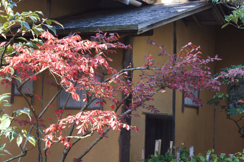 ���ĸ����Ķ� (113)