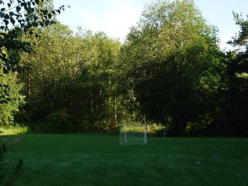 2009_0807�̲�FINEPIX0094