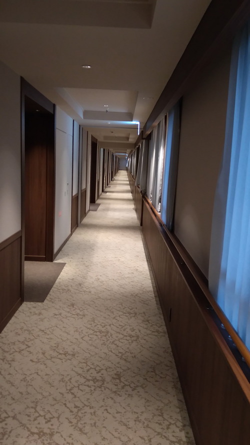 IMG_20230522_173549(1)