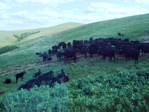 2007_0924��ʸ����������0025