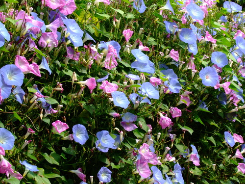 2007_1017��������0237