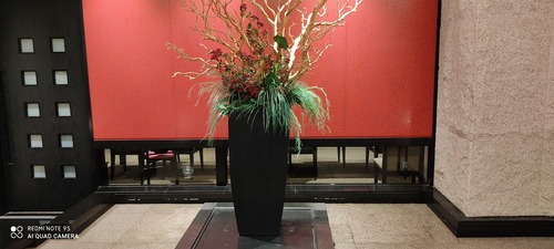 IMG_20200716_201242