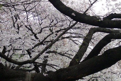 2008_0402H19��0114