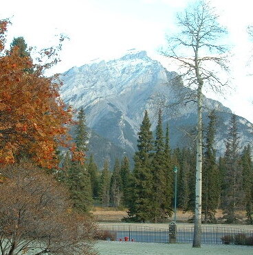 2005_1024�Σ�30043