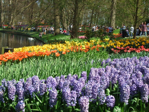2007_0417オランダ0576
