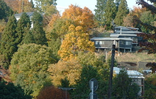 2007_1202Ƴλºµ¢¤êGH0033