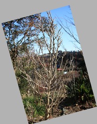 �९�������