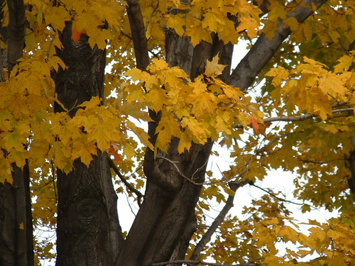 2005_1020첽ٻΥե०0021