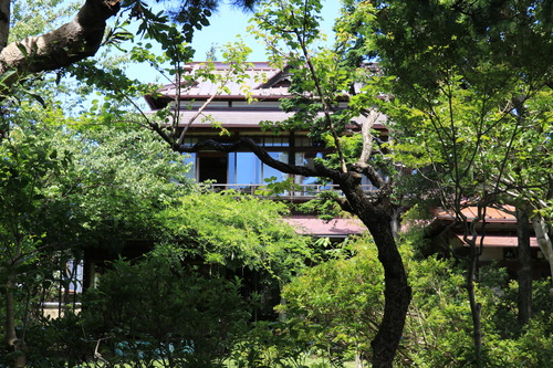 IMG_9571 - ���ԡ�