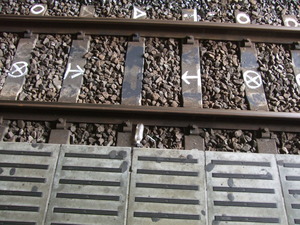 2011_1011����ʿ0004