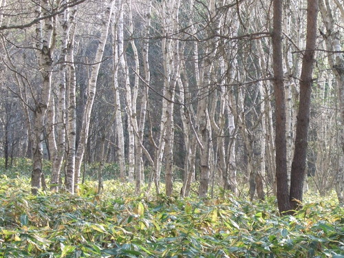 2007_0509¿®½£0158