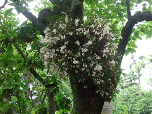 2011_0609³«À®Ä®ÃµË¬0010