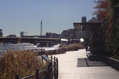 �ȸ���ξ�� (71)