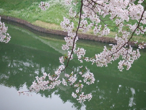 2008_0402H19��0076-1