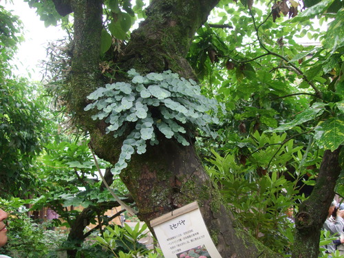 2011_0609³«À®Ä®ÃµË¬0013