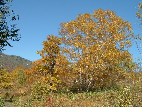 DSCF0035