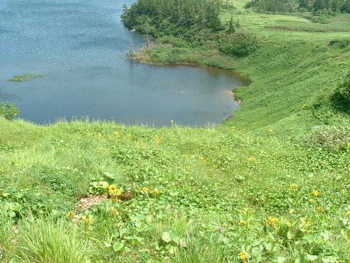 DSCF0022