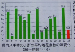 ��ʴ����