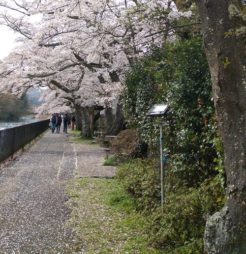 IMG_20230402_141034-1