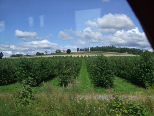 2009_0807北欧FINEPIX0128