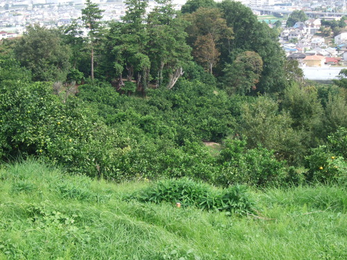 2012_1017丘陵古墳群0050