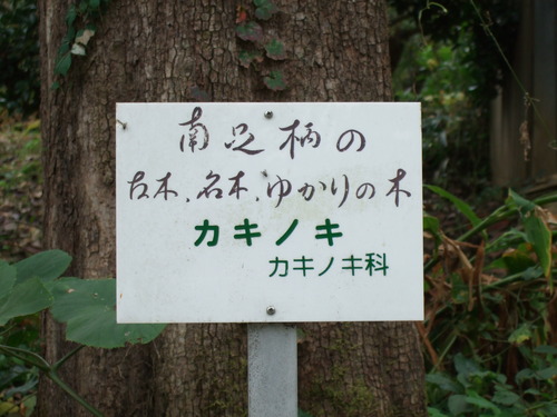 2007_1103¾®Åĸ¶ÈͶ10005