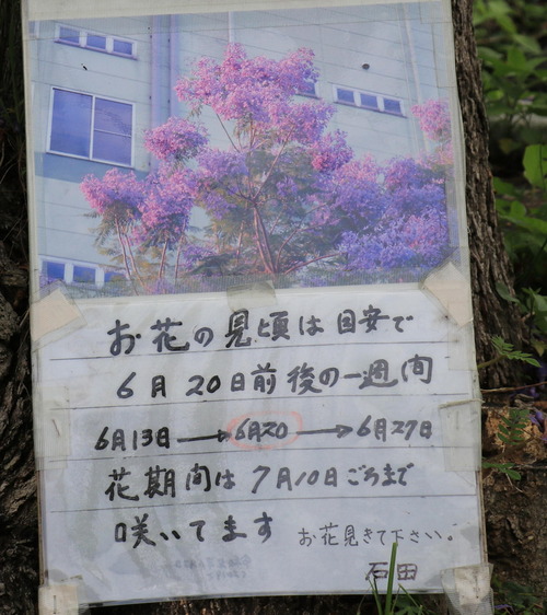 IMG_2915(1)