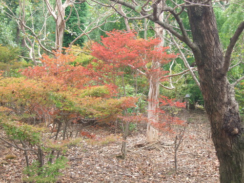 2012_1017丘陵古墳群0069