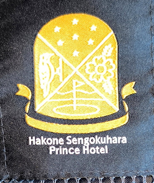 IMG_20250703_173801-1