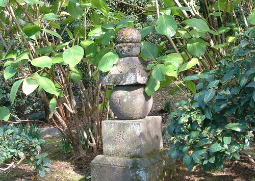 2007_1004¾®Åĸ¶ÈͶ£²0017