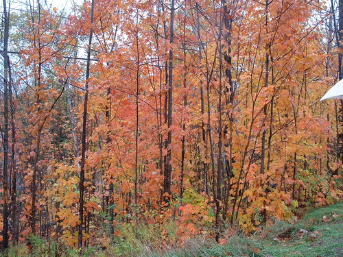 2005_1020첽ٻΥե०0067