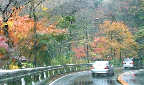2006_1209ÈÕ½©¤ÎÈ¢º¬0049