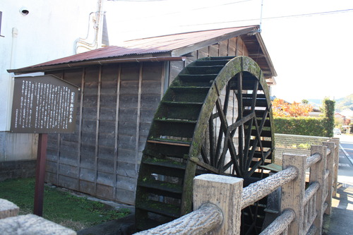 ���ĸ����Ķ� (44)