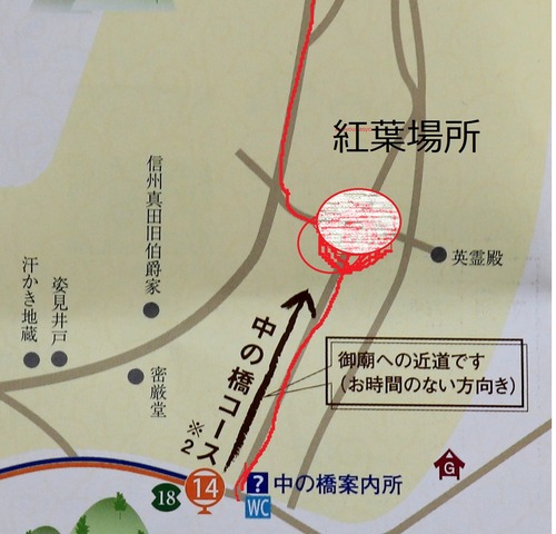 IMG_1442紅葉場所