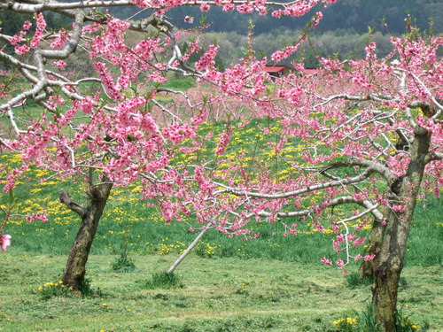 2007_0509¿®½£0121