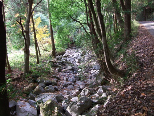 2007_1202¹ä»Ë¾»»Òº§Ìó0019