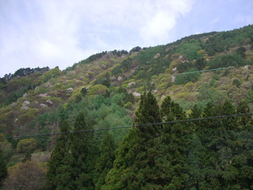 2007_0509¿®½£0104