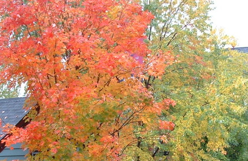 2005_1020첽ٻΥե०0069-1