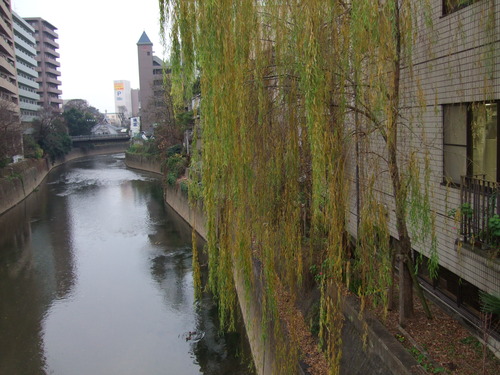 2008_1226熊本新町界隈0093
