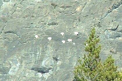 2005_1024�Σ�30064