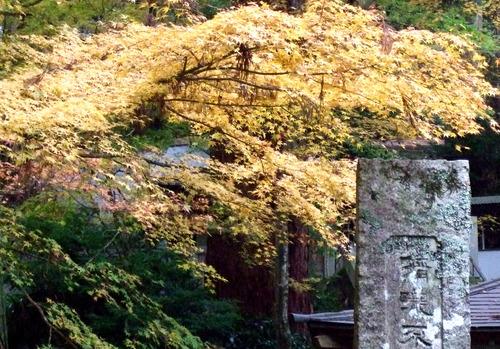 2007_1202¹ä»Ë¾»»Òº§Ìó0105