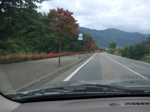 2007_1017��������0205