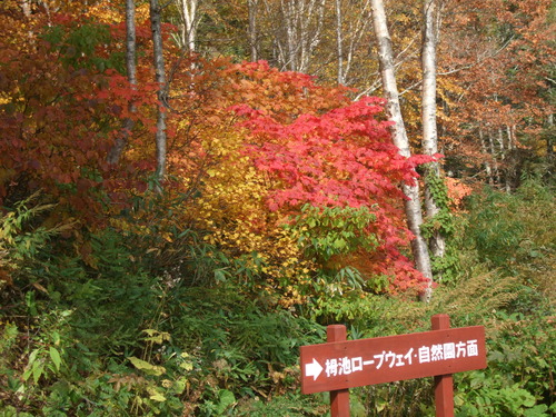 2007_1017��������0115